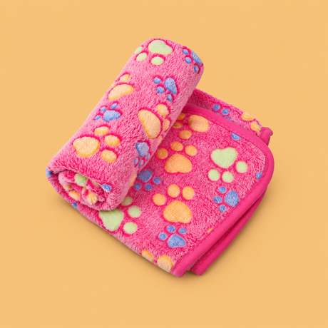 Cats » Winter & Rain Gear