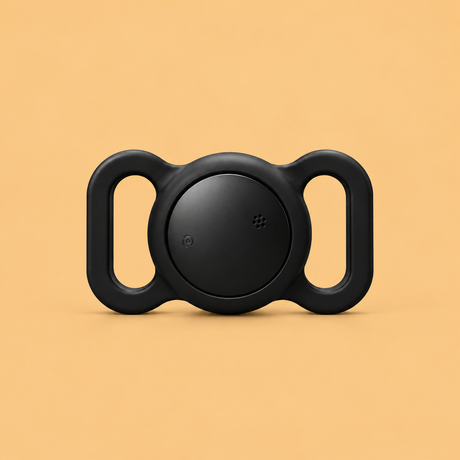 Dogs » Trackers & Gadgets