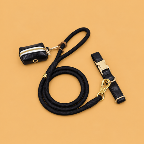 Black Braided Faux Leather Dog Leash with gold fittings and matching walking accessories on a warm beige-gold background | David's Pet Boutique