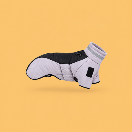 Dogs » Winter & Rain Gear