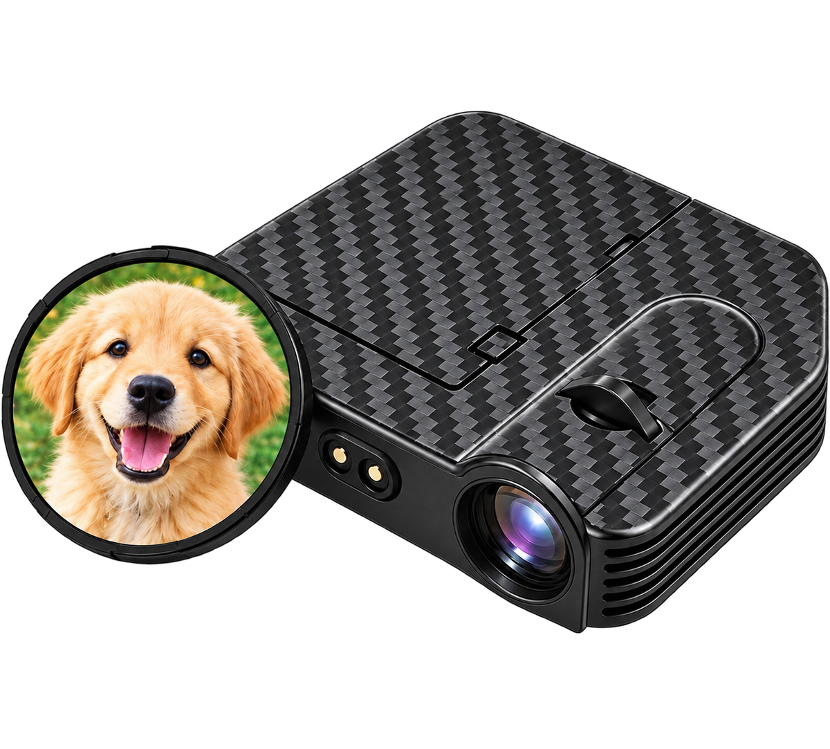 Custom Pet Car Door Lights — isolated product on a transparent background