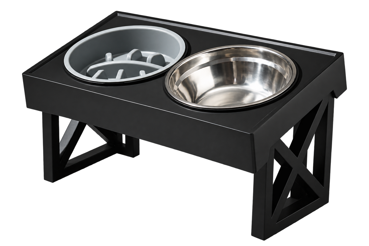 Elevated Slow-Feed Dog Bowl — isolated product on a transparent background