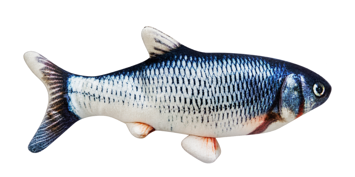 Flopping Fish Cat Toy — isolated product on a transparent background