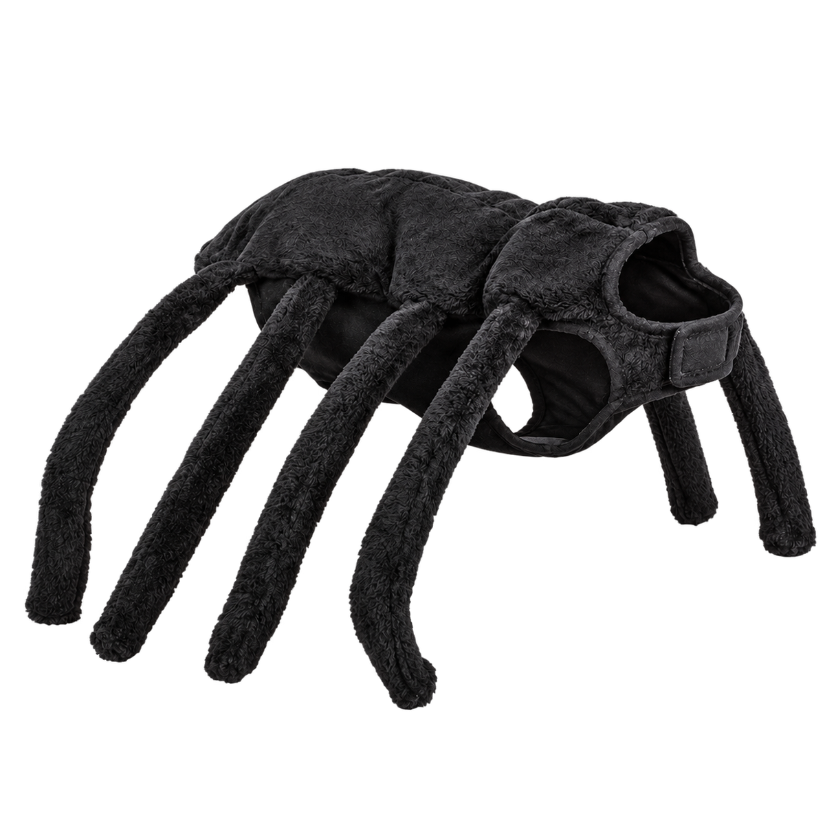 Halloween Fantasy Pet Costumes — isolated product on a transparent background