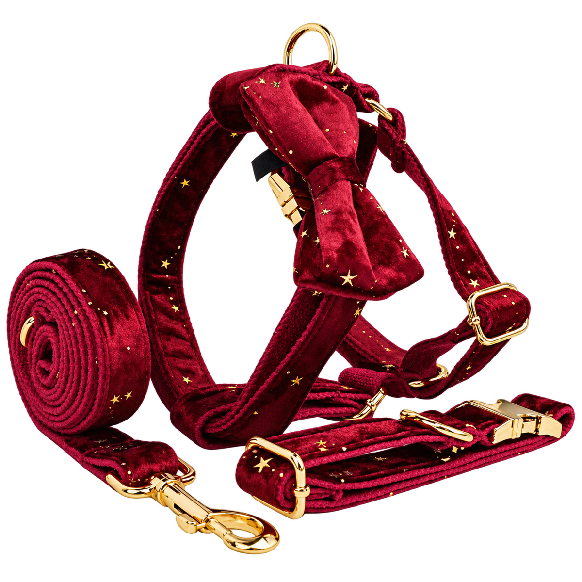 Velvet Collar & Walking Accessories — isolated product on a transparent background
