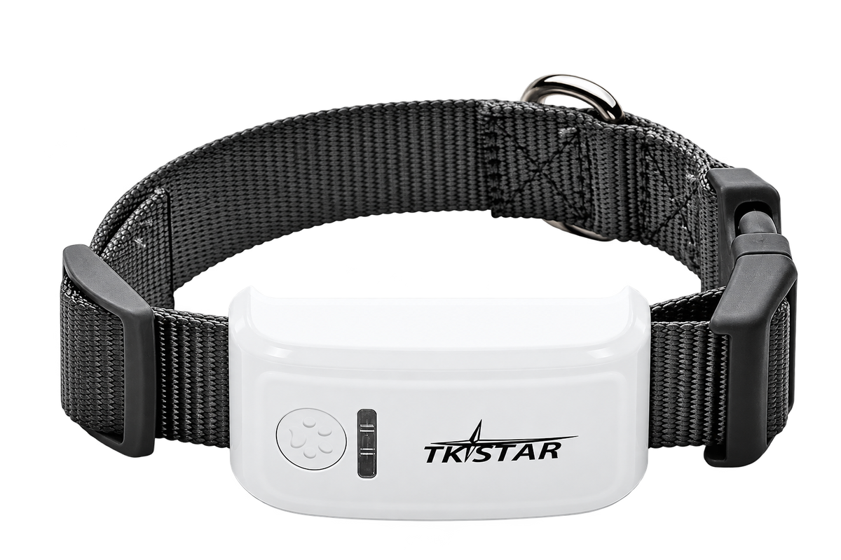 Waterproof GPS Pet Tracker — isolated product on a transparent background