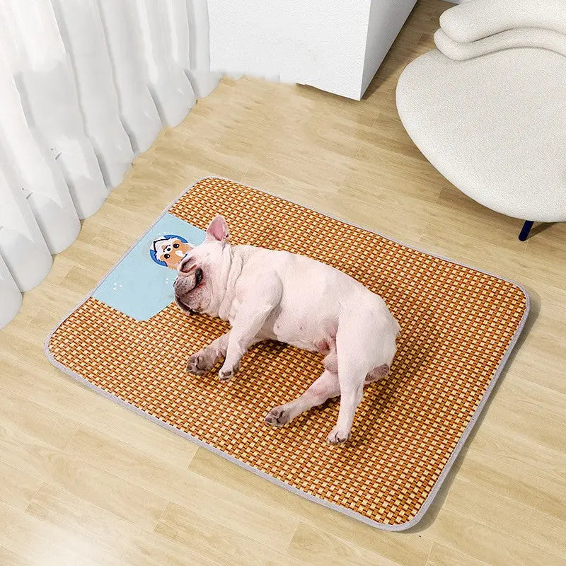 How to Keep Your Pet Cool in Summer | 7 Essential Tips David's Pet Boutique