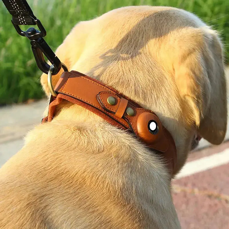 Never Lose Sight of Them: The Ultimate Guide to Pet GPS & AirTag Trackers David's Pet Boutique