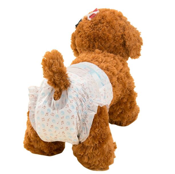Dogs » Hygiene and Diapers