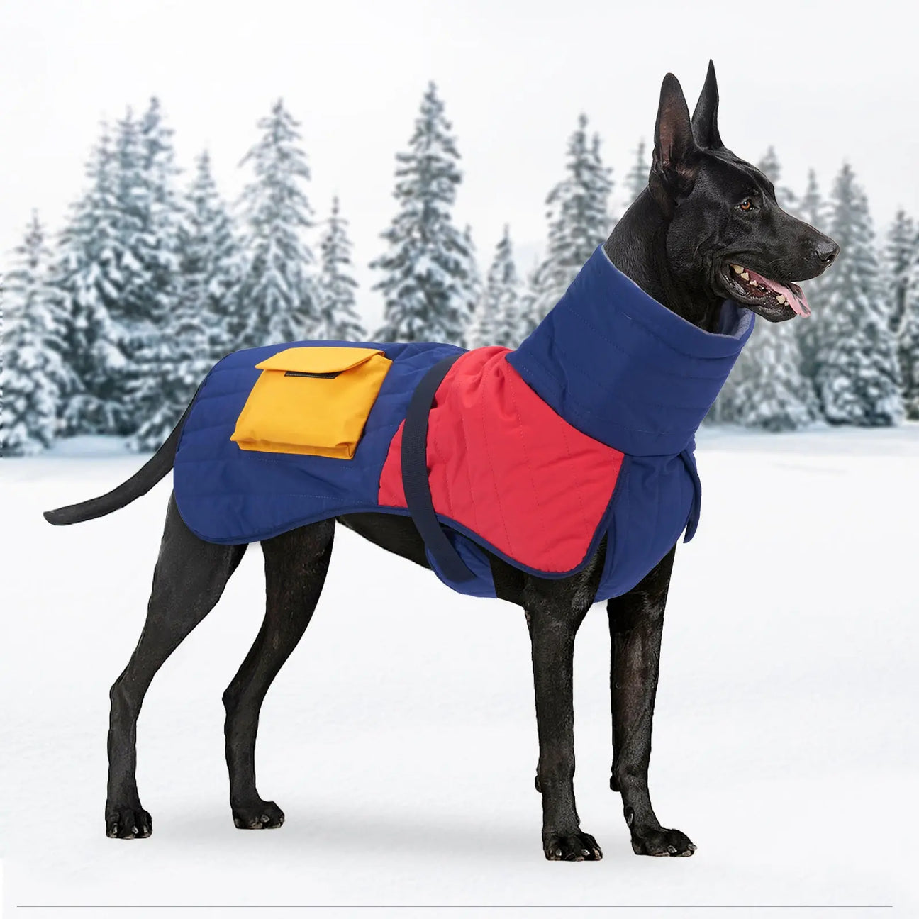 Dogs-Winter-Rain-Gear David's Pet Boutique