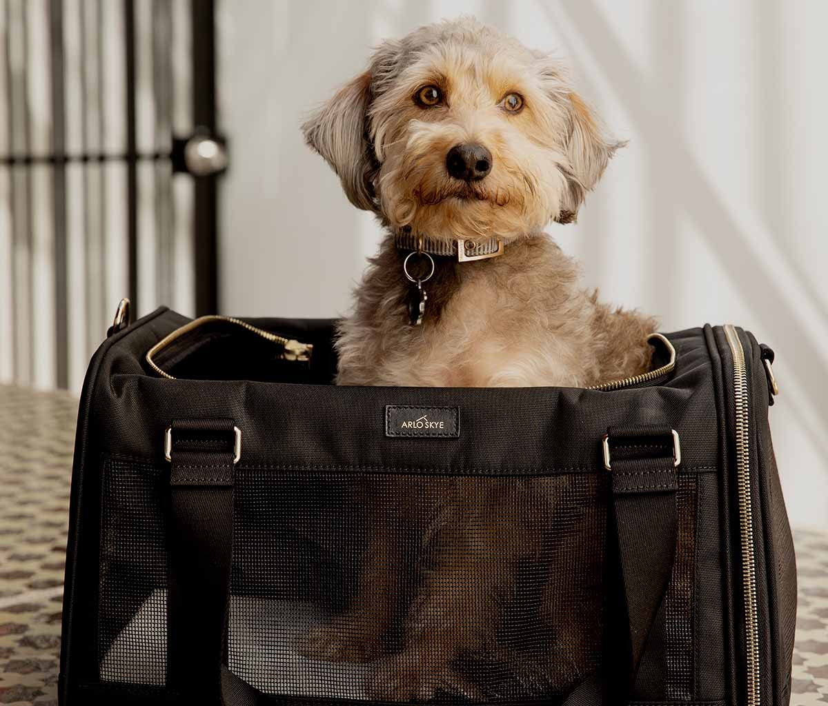Carriers and Travel Bags