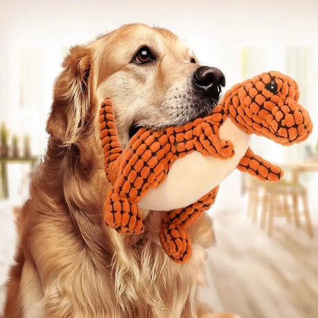 Dogs-Toys David's Pet Boutique
