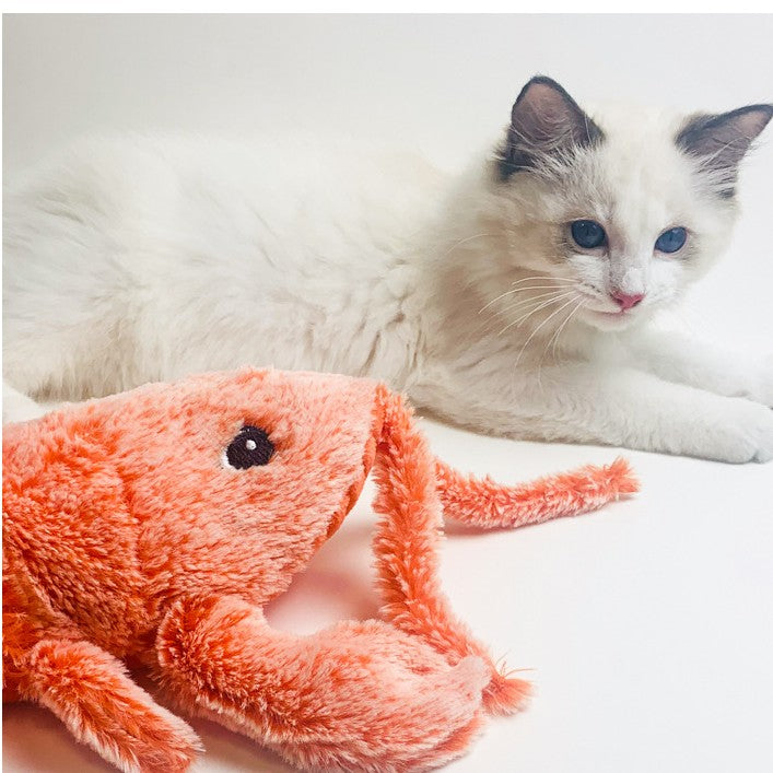 Interactive Cat Toys