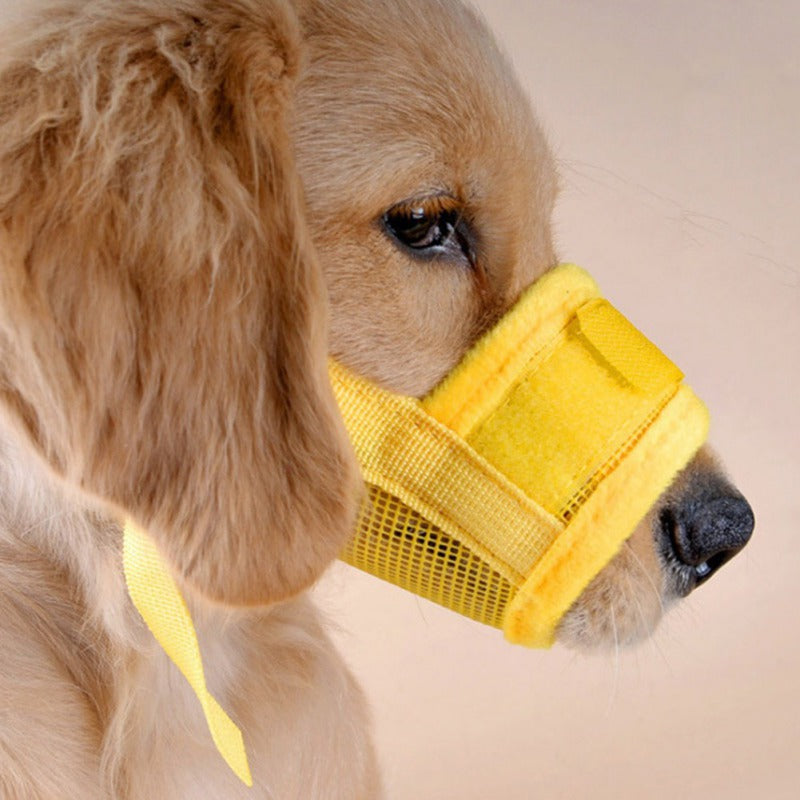 Muzzles and Restraint Masks