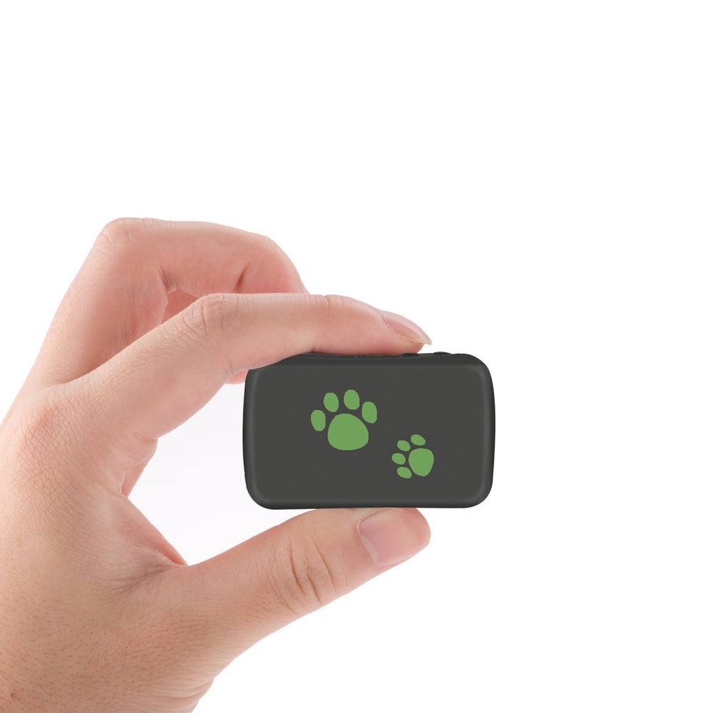 Cats » Pet Trackers & Gadgets