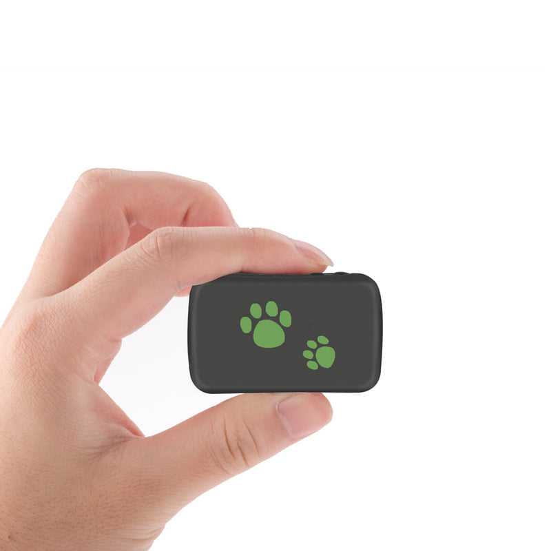 Cats » Pet Trackers & Gadgets