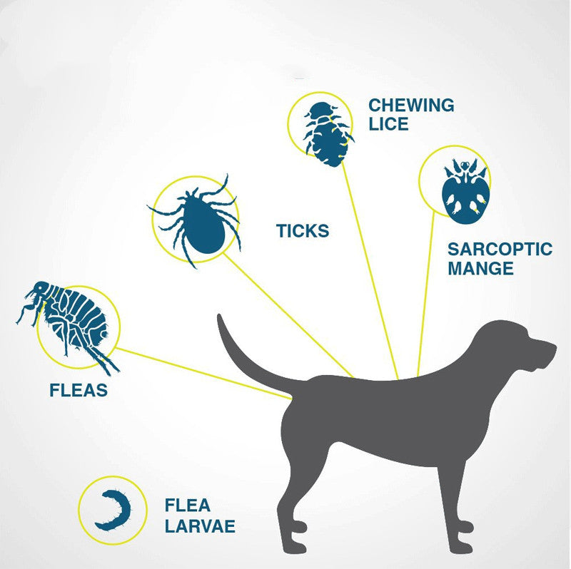 29577bc5ae1cad3b6a495cb0cf7e5a08