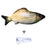 2ccbfa78feef2fb91b209de4c61f6b8a