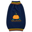 Blue Pumpkin Dog Sweater — isolated product on a transparent background