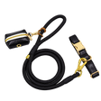 Braided Faux Leather Dog Leash — isolated product on a transparent background