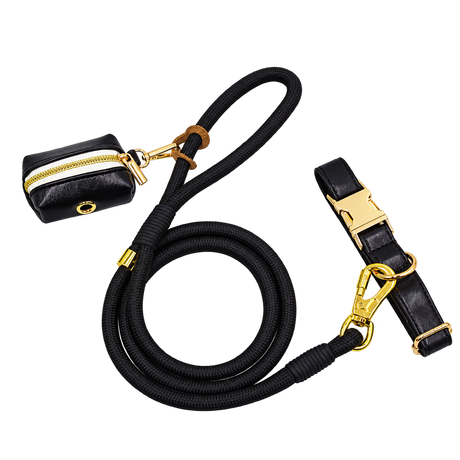 Braided Faux Leather Dog Leash — isolated product on a transparent background