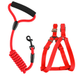 Bungee Dog Walking Accessories — isolated product on a transparent background