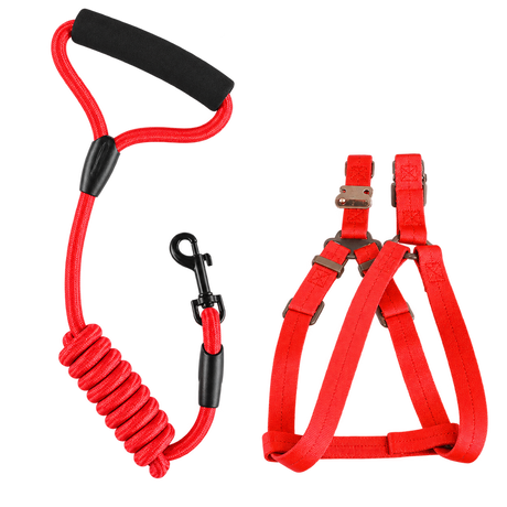 Bungee Dog Walking Accessories — isolated product on a transparent background