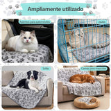 c907892248c049099982e564af940ca9