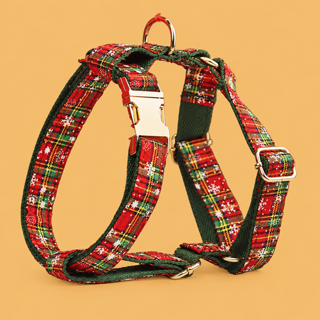 Christmas Snowflake Dog Collar & Walking Set — isolated product on a warm peach background