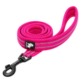 Classic Pet Dog Leash — isolated product on a transparent background