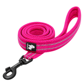 Classic Pet Dog Leash — isolated product on a transparent background