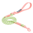 Classic PVC Dog Leash — isolated product on a transparent background