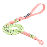 Classic PVC Dog Leash — isolated product on a transparent background