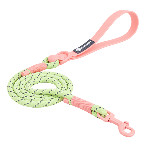 Classic PVC Dog Leash — isolated product on a transparent background