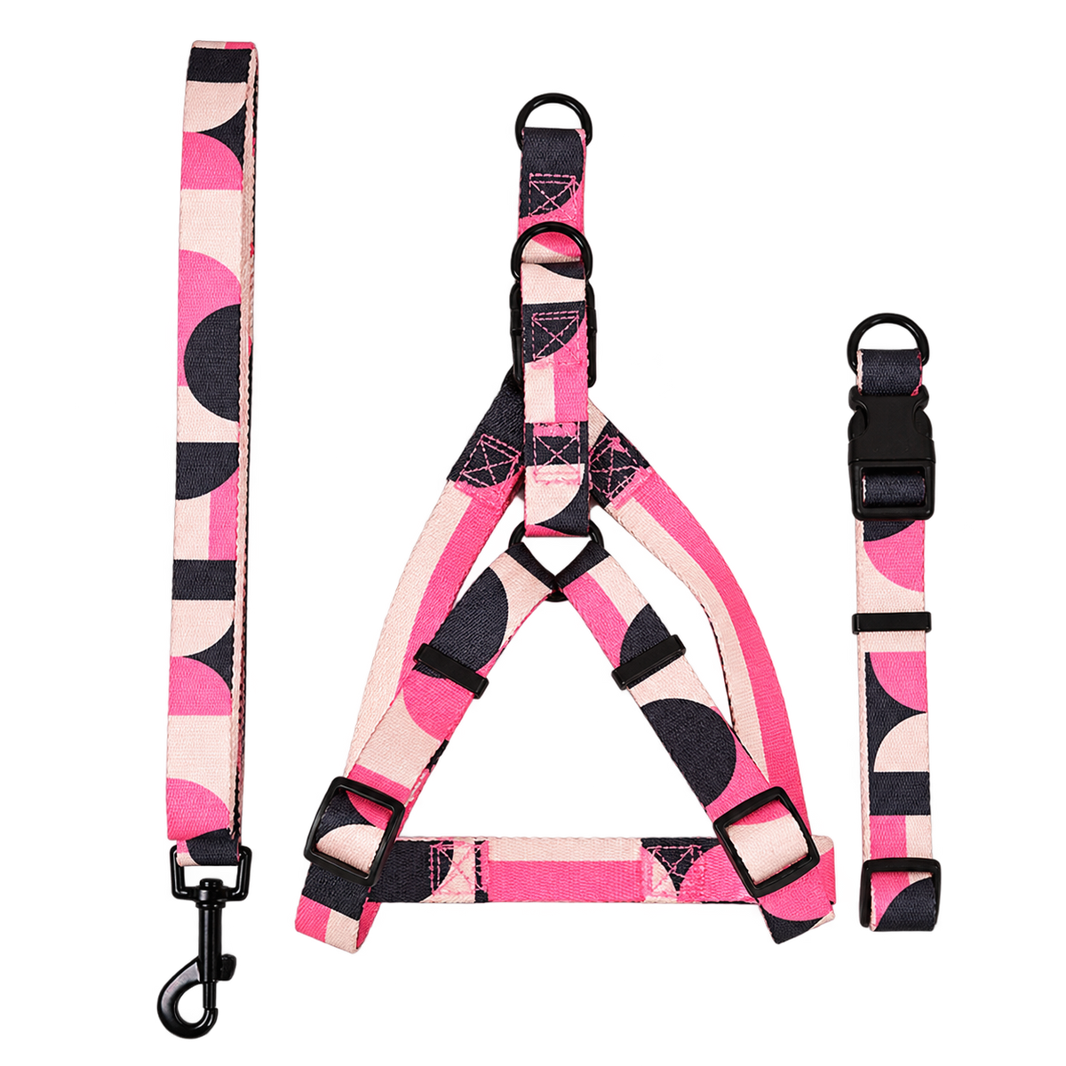 Colourblock Dog Walking Accessories — isolated product on a transparent background