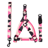Colourblock Dog Walking Accessories — isolated product on a transparent background