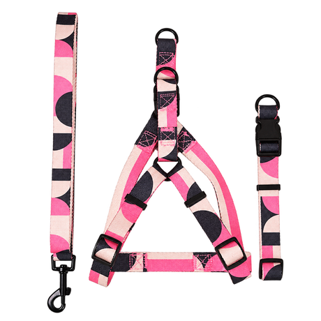 Colourblock Dog Walking Accessories — isolated product on a transparent background