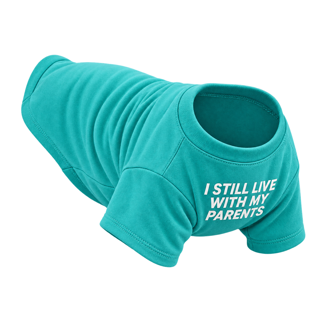 Everyday Pet T-Shirt — isolated product on a transparent background