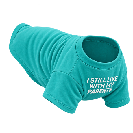 Everyday Pet T-Shirt — isolated product on a transparent background