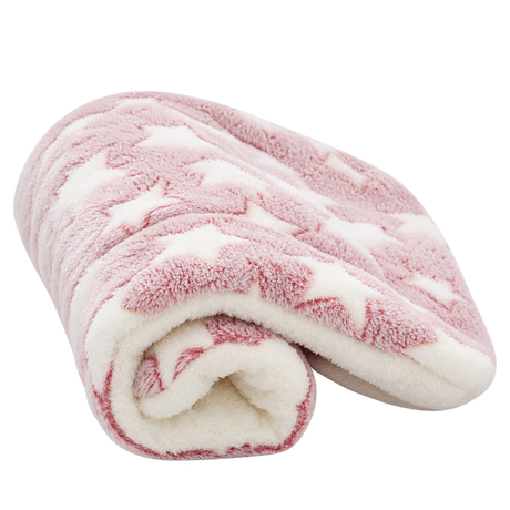 Flannel Pet Blanket — isolated product on a transparent background