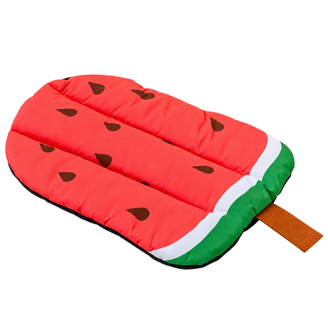 Fruit Print Pet Cooling Mat isolated on transparent background