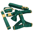Green Velvet Dog Accessories — isolated product on a transparent background
