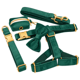 Green Velvet Dog Accessories — isolated product on a transparent background