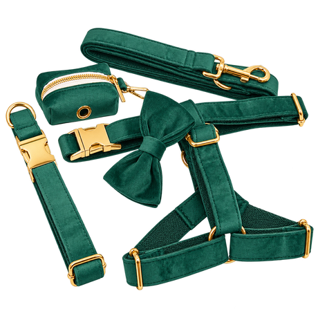 Green Velvet Dog Accessories — isolated product on a transparent background