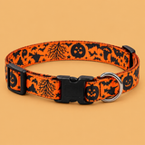 Halloween Pet Collar Collection — product on peach background