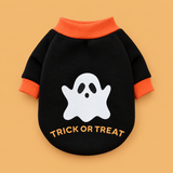 Pumpkin & Skull Dog Sweater — product on peach background