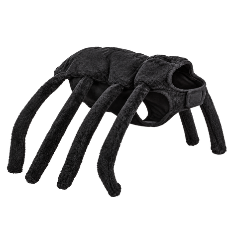 Halloween Fantasy Pet Costumes — isolated product on a transparent background