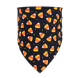 Halloween Pet Bandana — isolated product on a transparent background