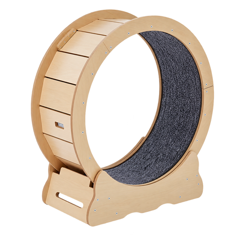 Large Cat Exercise Wheel — isolated product on a transparent background