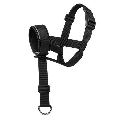 Leather Dog Muzzle — isolated product on a transparent background